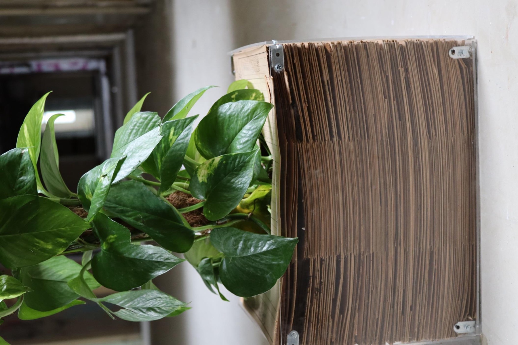 Archive And Lust — installation in former sanatorium
