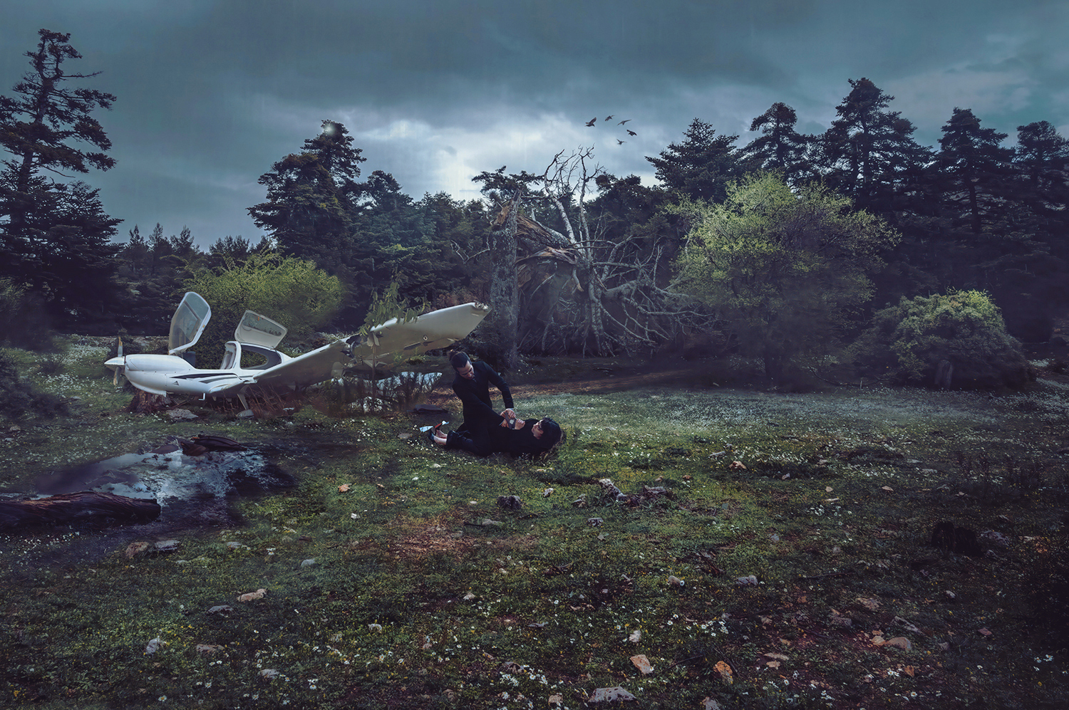 Still VIII — photograph