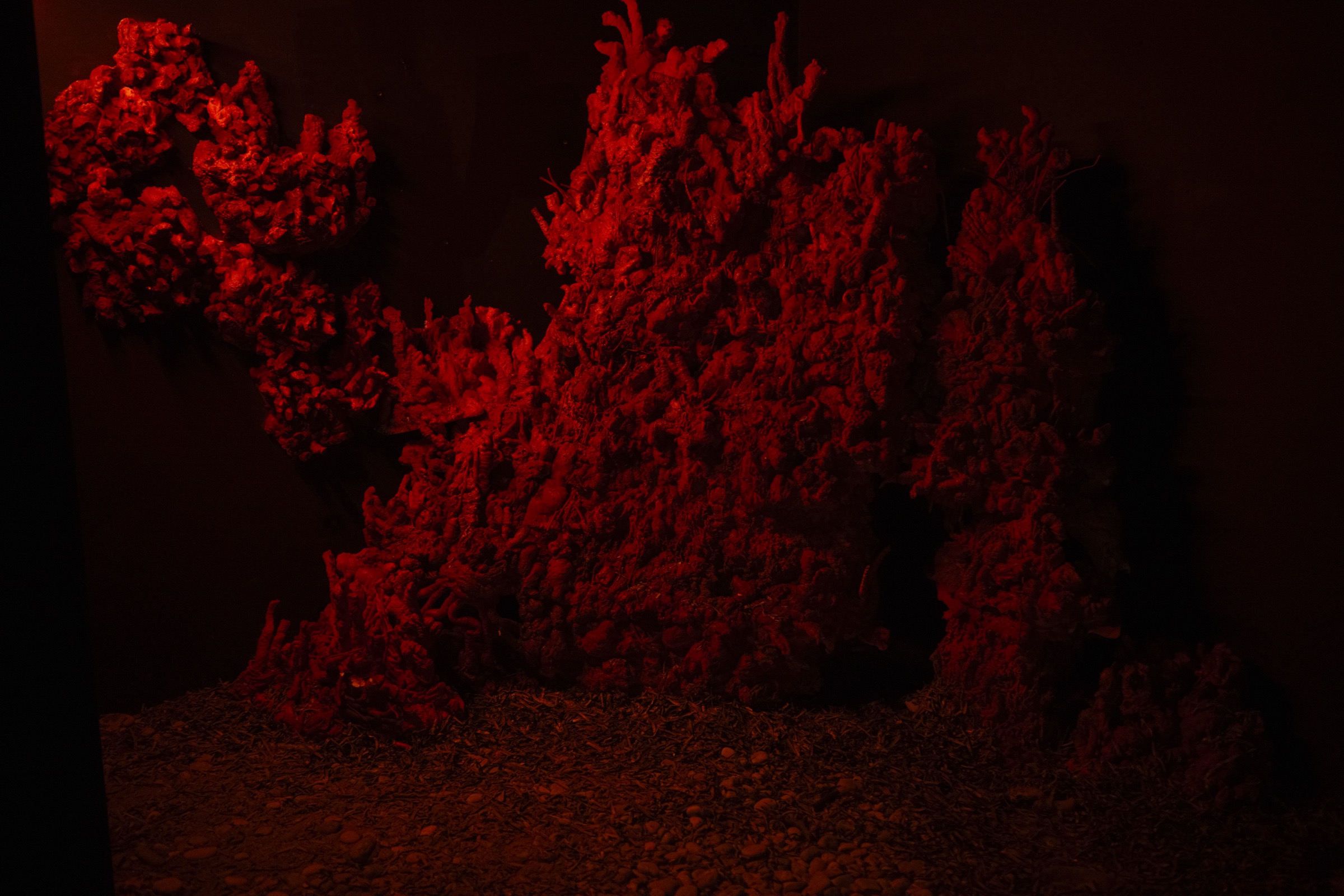 This Looks More Real Than It Did Yesterday — installation